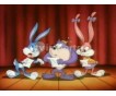 Tiny Toon Adventures Complete Seasons 2 & 3 DVD Collection